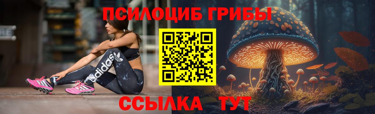 Псилоцибиновые грибы прущие грибы  дарнет шоп  Коряжма  Вход с VPN 